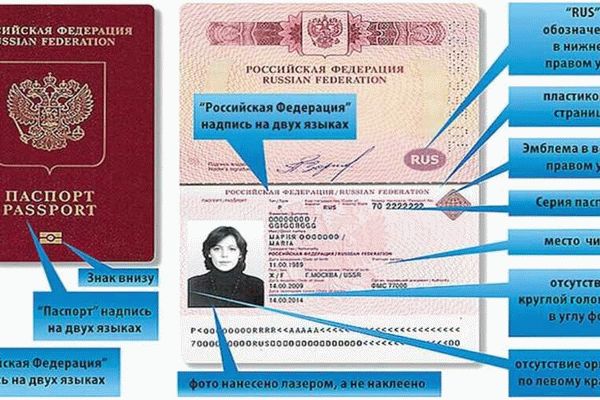 Паспорт: перечень документов для оформления заграничного паспорта старого образца совершеннолетним лицам